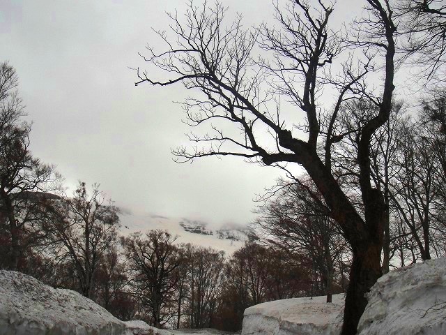 c0119160_2214319.jpg
