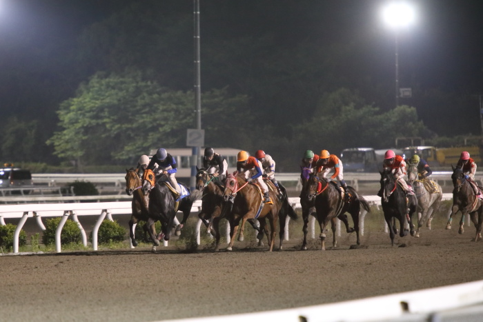 2013年5月12日（日） 高知競馬 12R 一発逆転 ファイナルレース B-4記者選抜 _a0077663_17504094.jpg