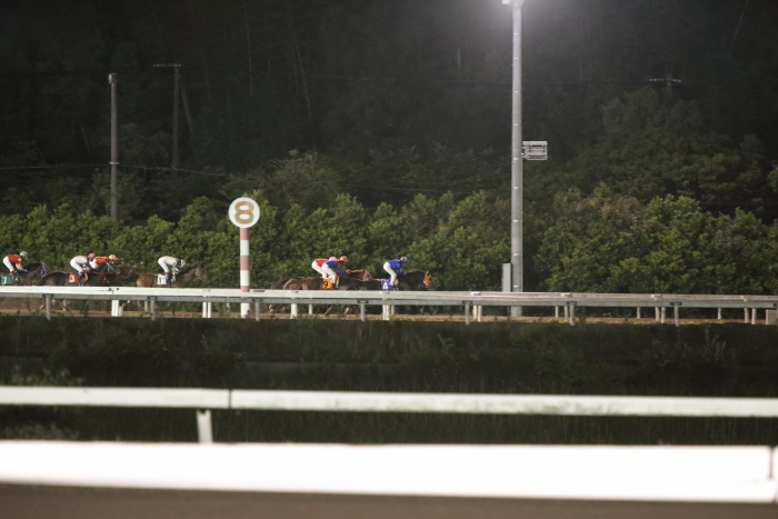 2013年5月12日（日） 高知競馬 12R 一発逆転 ファイナルレース B-4記者選抜 _a0077663_17504276.jpg