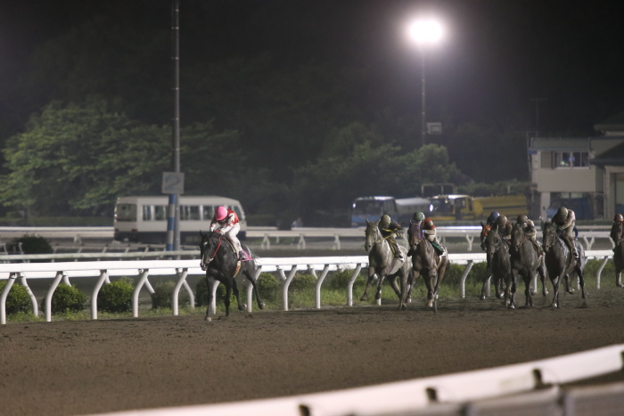 2013年5月12日（日） 高知競馬 12R 一発逆転 ファイナルレース B-4記者選抜 _a0077663_1750469.jpg