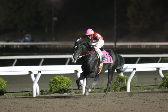 2013年5月12日（日） 高知競馬 12R 一発逆転 ファイナルレース B-4記者選抜 _a0077663_17504833.jpg