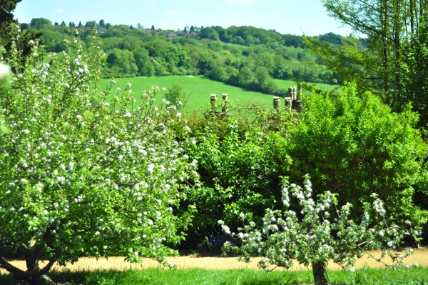 National Trust : Hughenden_c0046163_826895.jpg