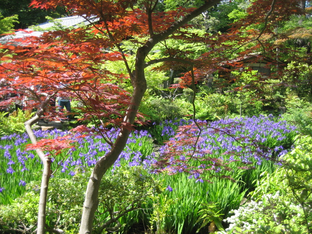 春の根津美術館庭園_f0148563_112314.jpg