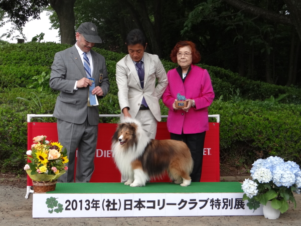 コリークラブ特別展_f0126965_8455354.jpg