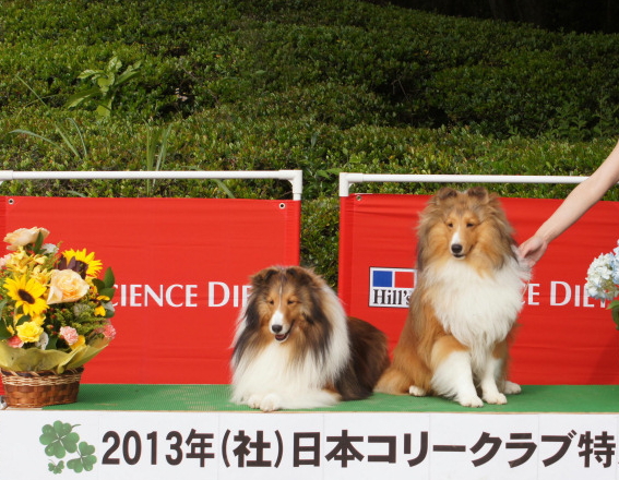 コリークラブ特別展_f0126965_8471640.jpg