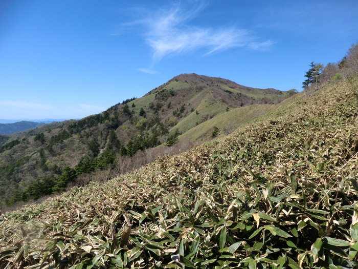 No291大展望とあけぼのつつじ満開の四国・平家平～冠山～土山越_b0185573_20184462.jpg