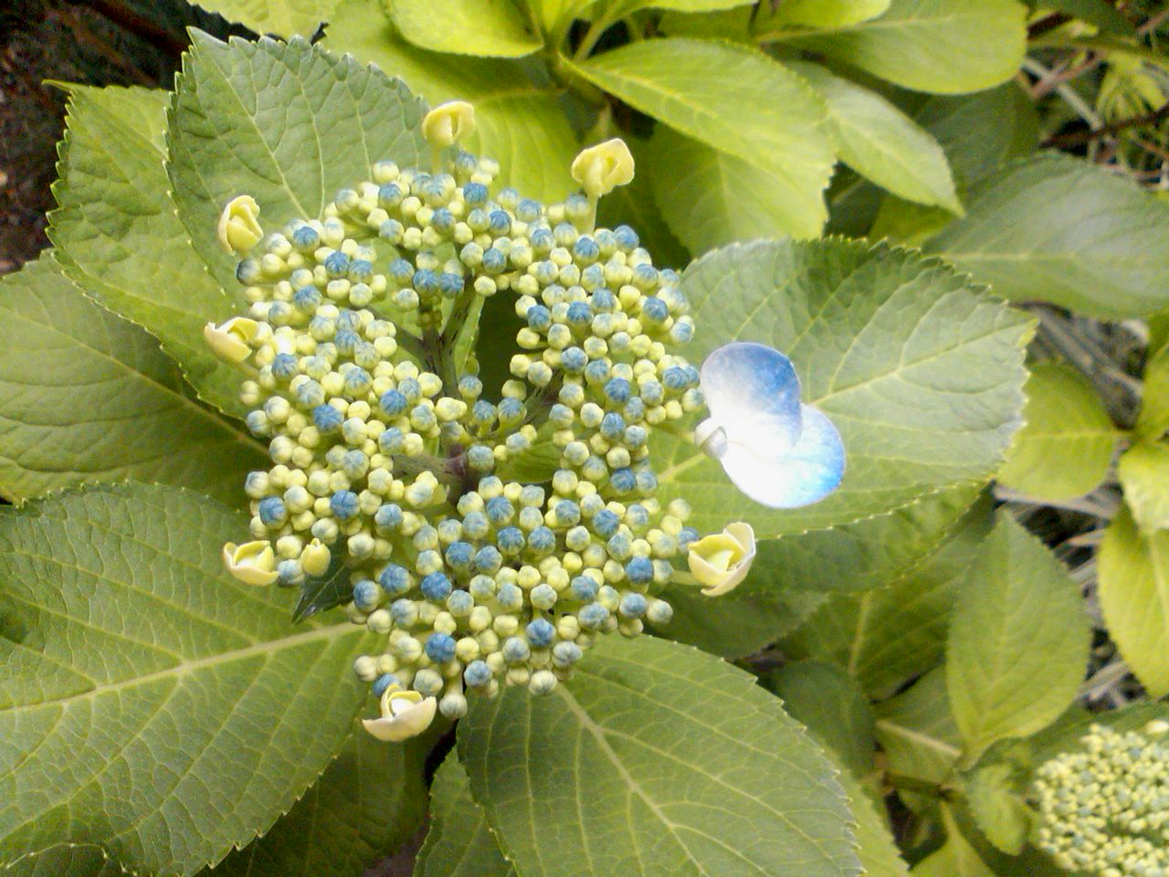 b0241873_2155450.jpg