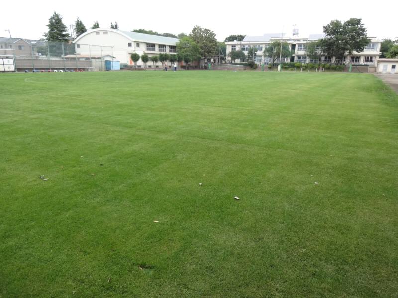 f0059673_2201277.jpg