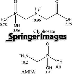 腐敗という悪性腫瘍、破壊の種子: モンサントGMOのごまかし　F・ウィリアム・イングドール_c0139575_1331771.jpg