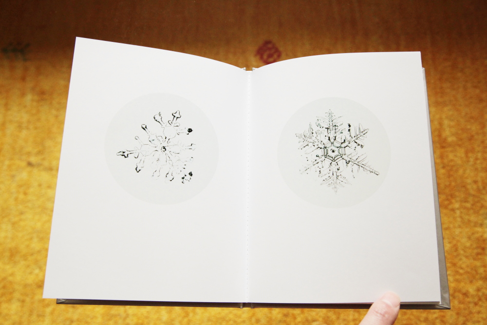 鈴木理策 Risaku Suzuki 「One Picture Book #80: Snow Letter」_c0016177_1334996.jpg