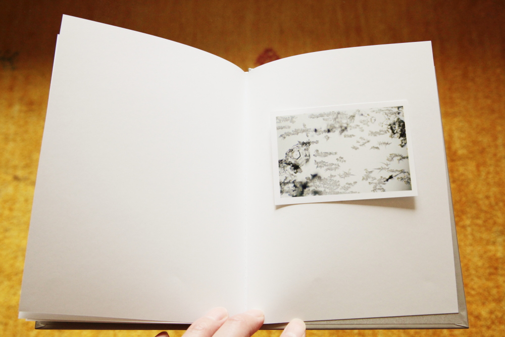 鈴木理策 Risaku Suzuki 「One Picture Book #80: Snow Letter