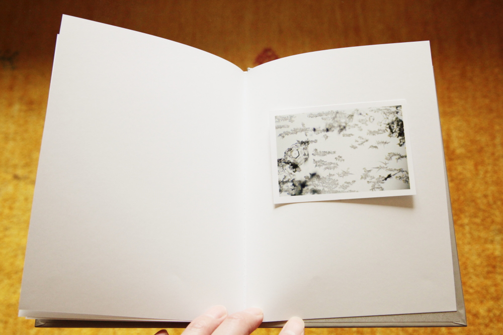 鈴木理策 Risaku Suzuki 「One Picture Book #80: Snow Letter」_c0016177_1382031.jpg