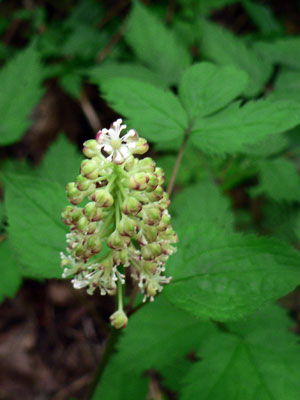 f0083977_67124.jpg