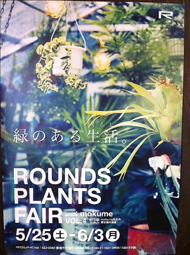ROUNDS PLANTS FAIR with mokume_a0133078_1585338.jpg