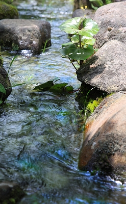 e0305388_844855.jpg