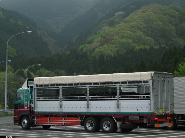 家畜運搬車の高価買取り価格について 畜産農家さんに朗報 家畜運搬車の調子が悪いと感じたら買取に出しましょう