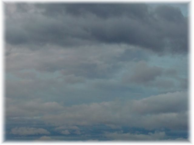 b0232891_20514081.png