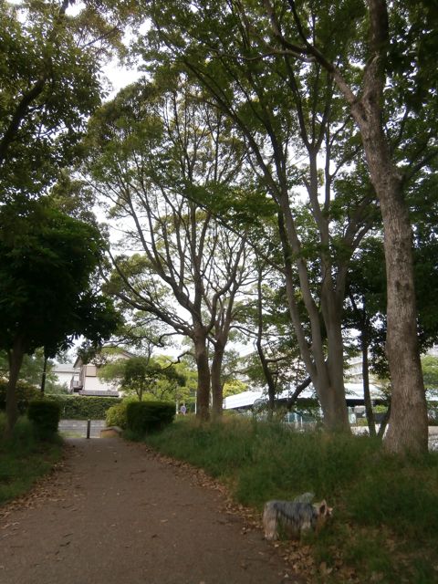 f0130894_21354586.jpg