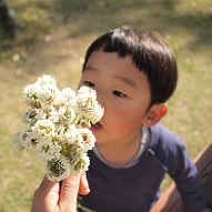  皐 月 の 花 冠_b0168801_1726095.jpg