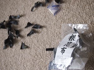 f0254105_1161732.jpg