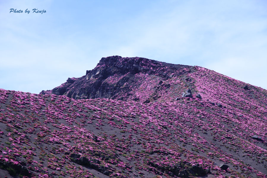 a0097006_1894210.jpg