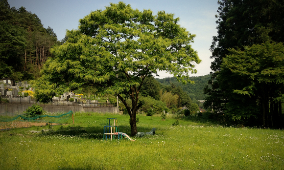 a0237912_143335.jpg