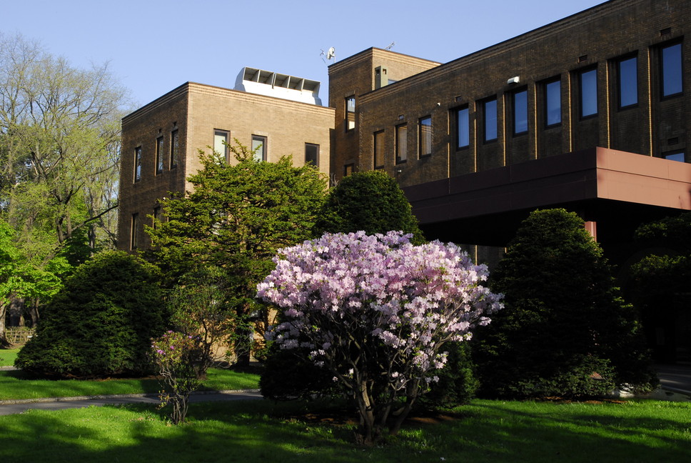 2013年5月　May, 2013　　ピンクに染まる北大キャンパス　Hokkadio University in pink_c0219616_1610296.jpg