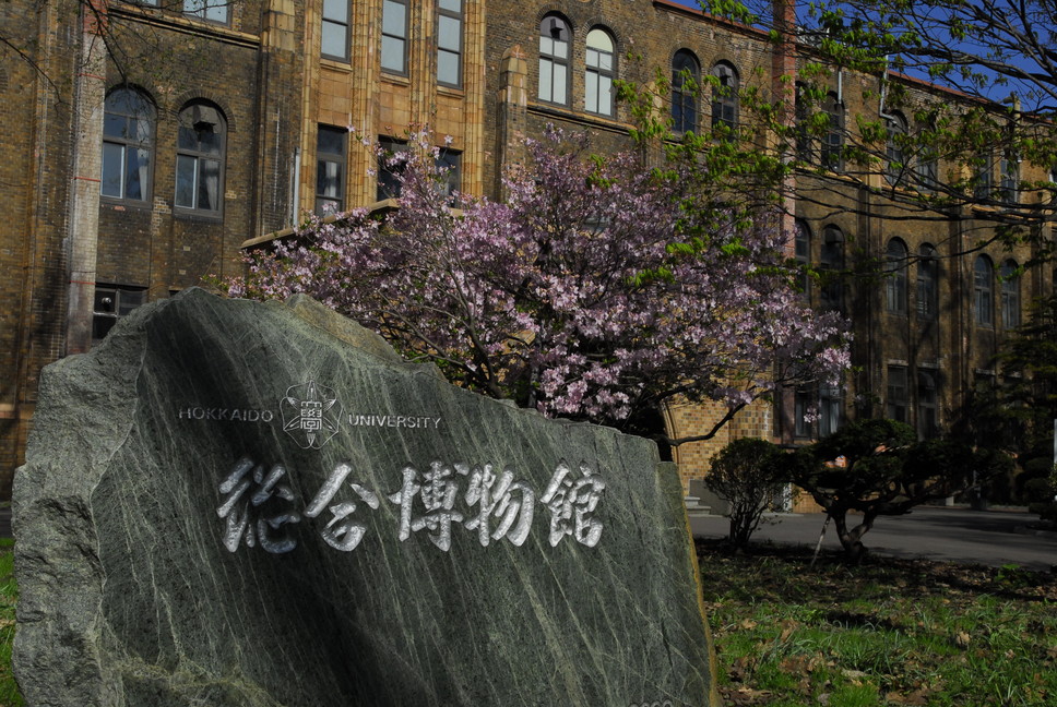 2013年5月　May, 2013　　ピンクに染まる北大キャンパス　Hokkadio University in pink_c0219616_1612060.jpg
