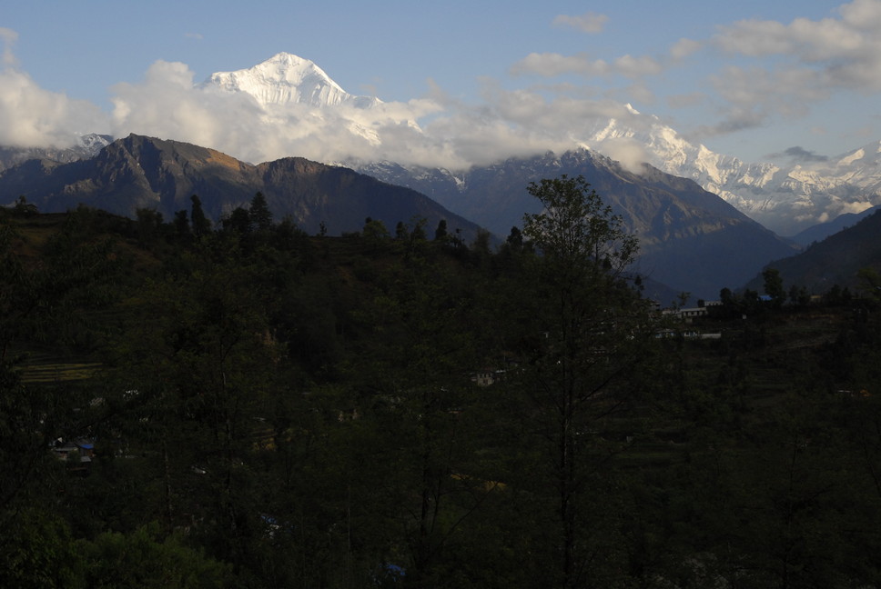 2013年5月 May, 2013  ヒマラヤ・アンナプルナトレッキング Himalaya-Annapurna Trekking_c0219616_1735124.jpg