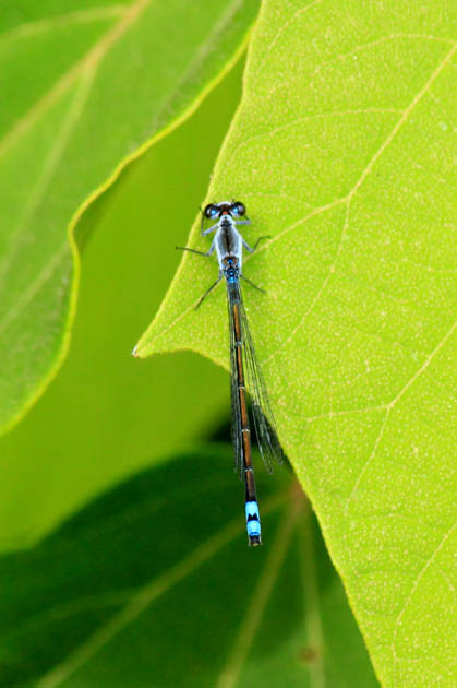 d0237817_19383763.jpg