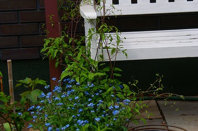 f0170524_19124599.jpg