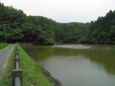 関東も梅雨入りしました_a0123836_16172645.jpg