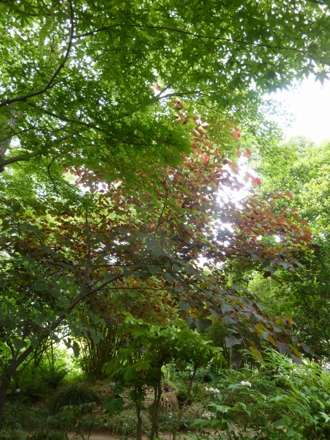 a0076237_97187.jpg