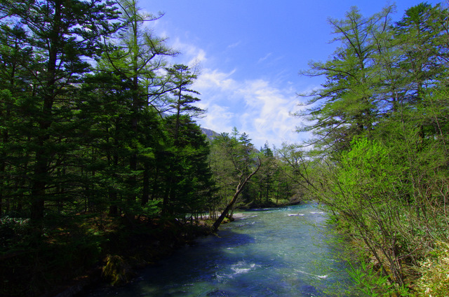 d0186245_1447441.jpg