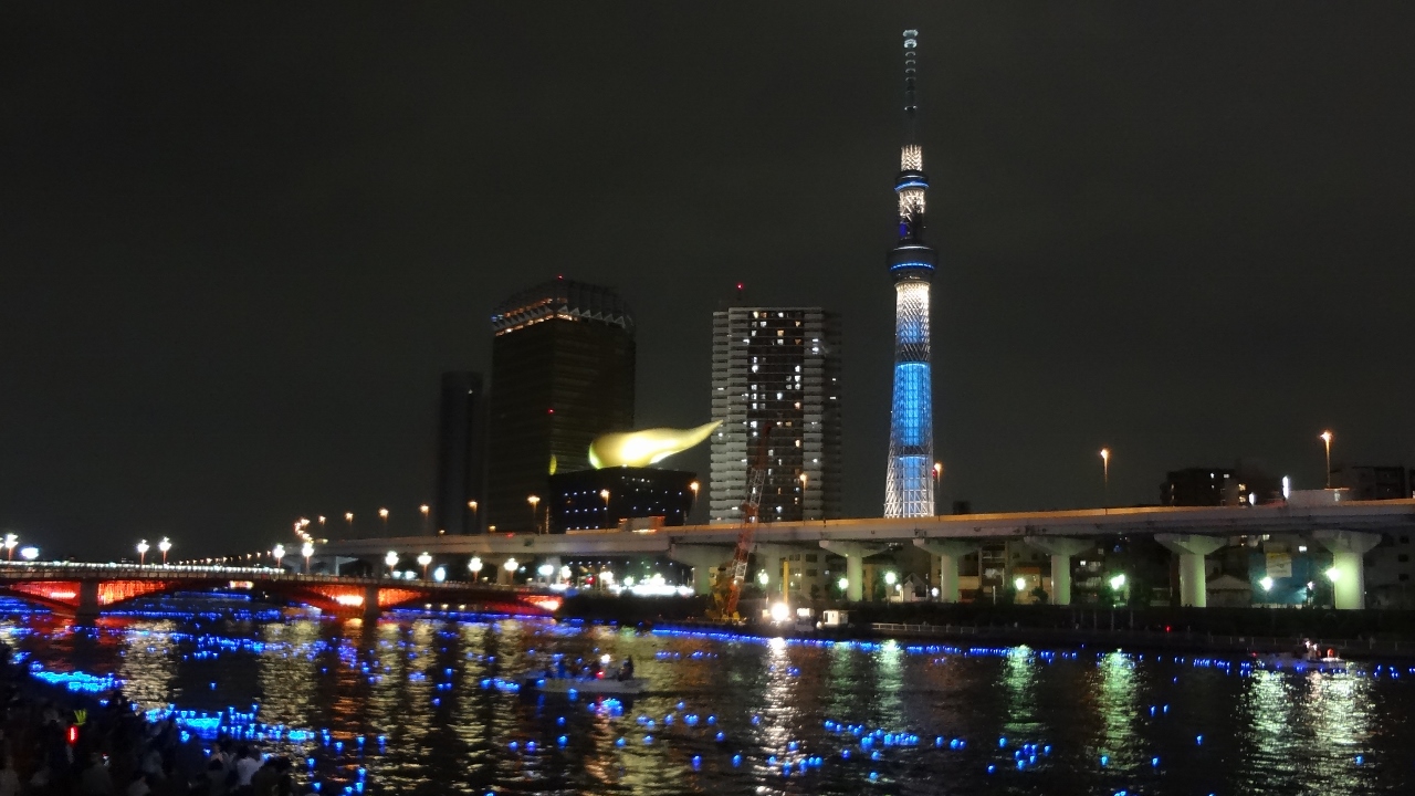 Tokyoホタル 2013_d0087549_0131038.jpg