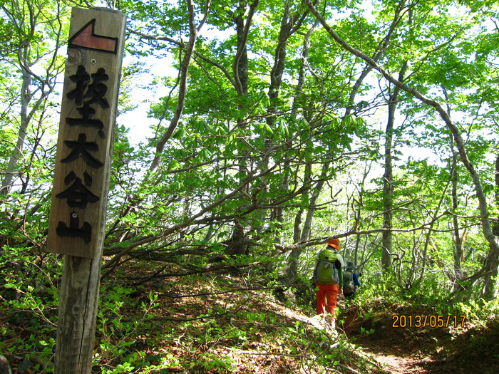 湖北・大御影山へ♪_b0148050_21313671.jpg