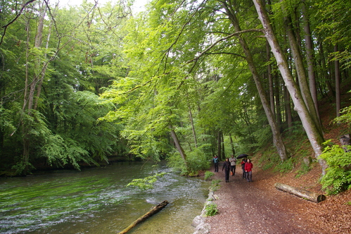 b0175255_5857.jpg