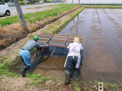 七城米 長尾農園 苗床作り(こだわりの進水式)_a0254656_175441.jpg