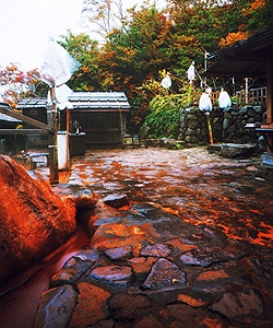 c0119160_6343032.jpg