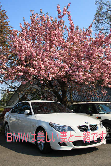 かっこいい車と八重桜_a0267861_21152670.jpg