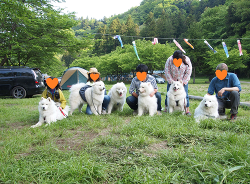 d0251768_1558232.png