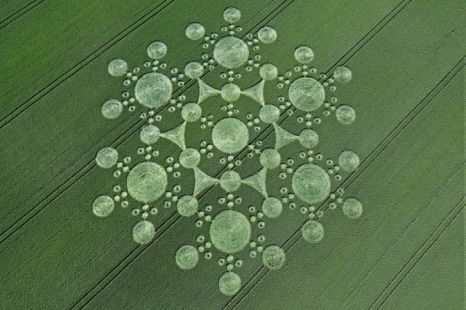 △crop circle△_f0287169_16481845.jpg