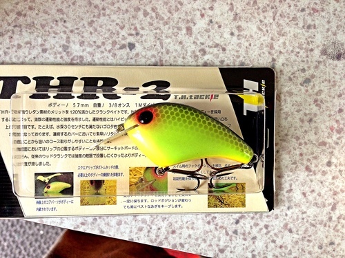 出荷情報 THR-2_a0040876_2111584.jpg