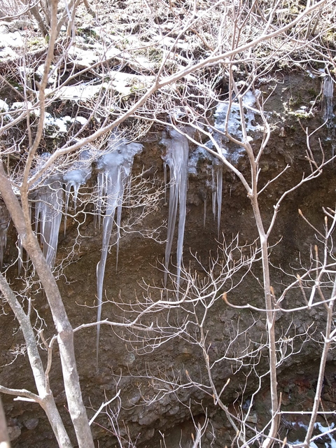 a0094280_15103654.jpg