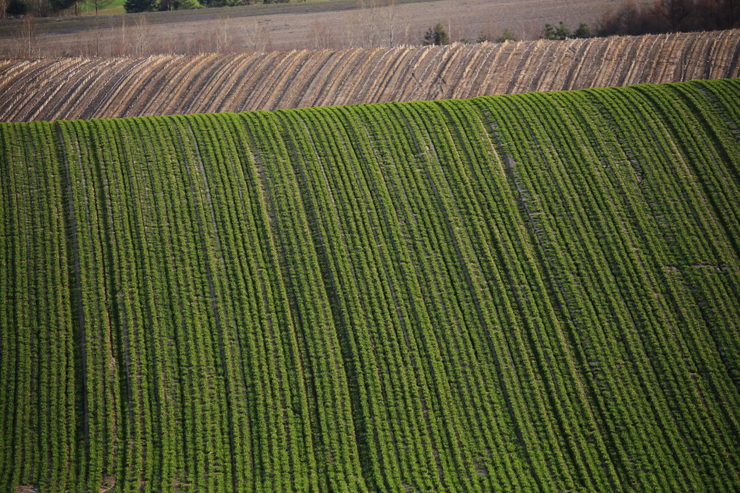 b0259886_221457100.jpg