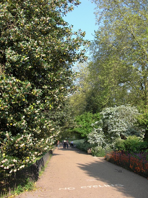 f0148890_23105735.jpg