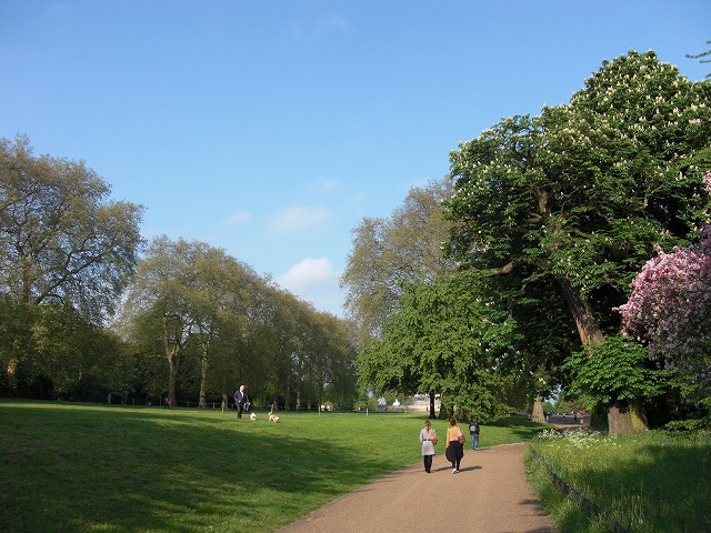 f0148890_23114924.jpg