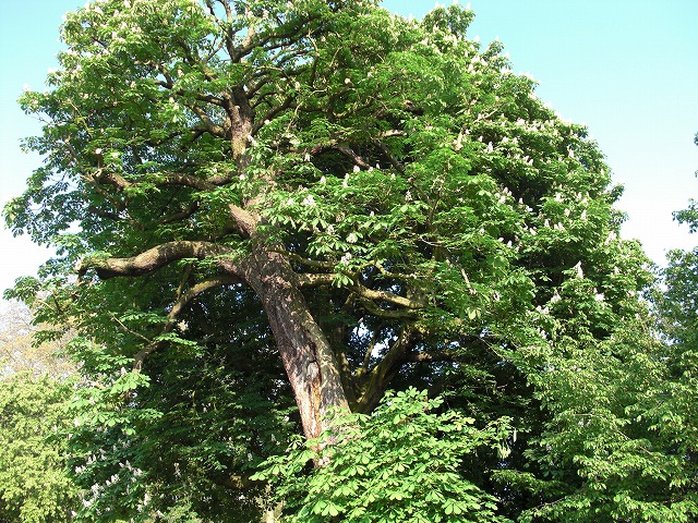 f0148890_23125848.jpg