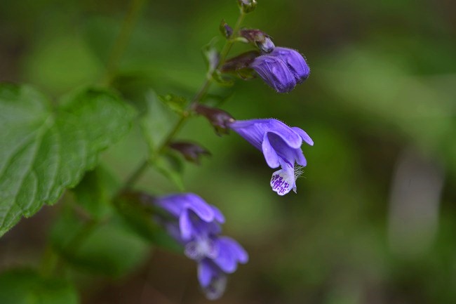b0255992_20113885.jpg