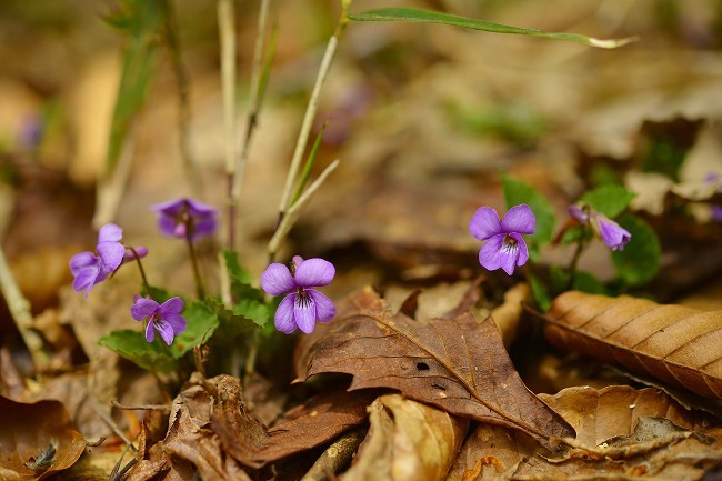 b0255992_2027279.jpg
